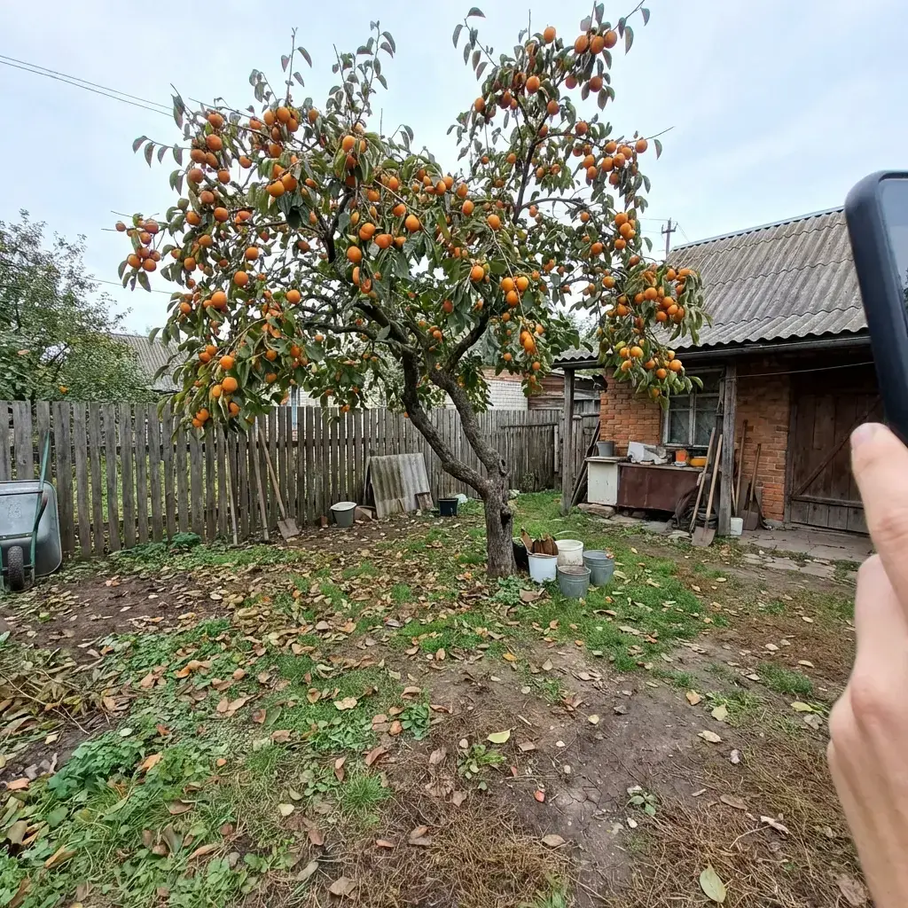 Дерево в саду