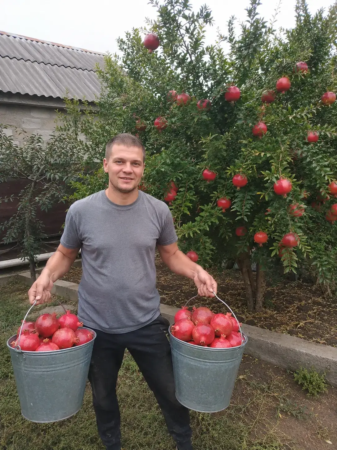 Фото від покупця: коробка при отриманні
